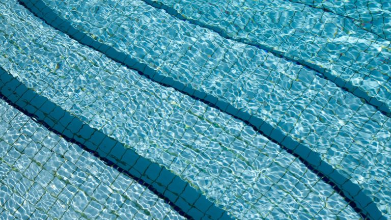 Traiter l’algue moutarde de ta piscine pour une eau cristalline ?